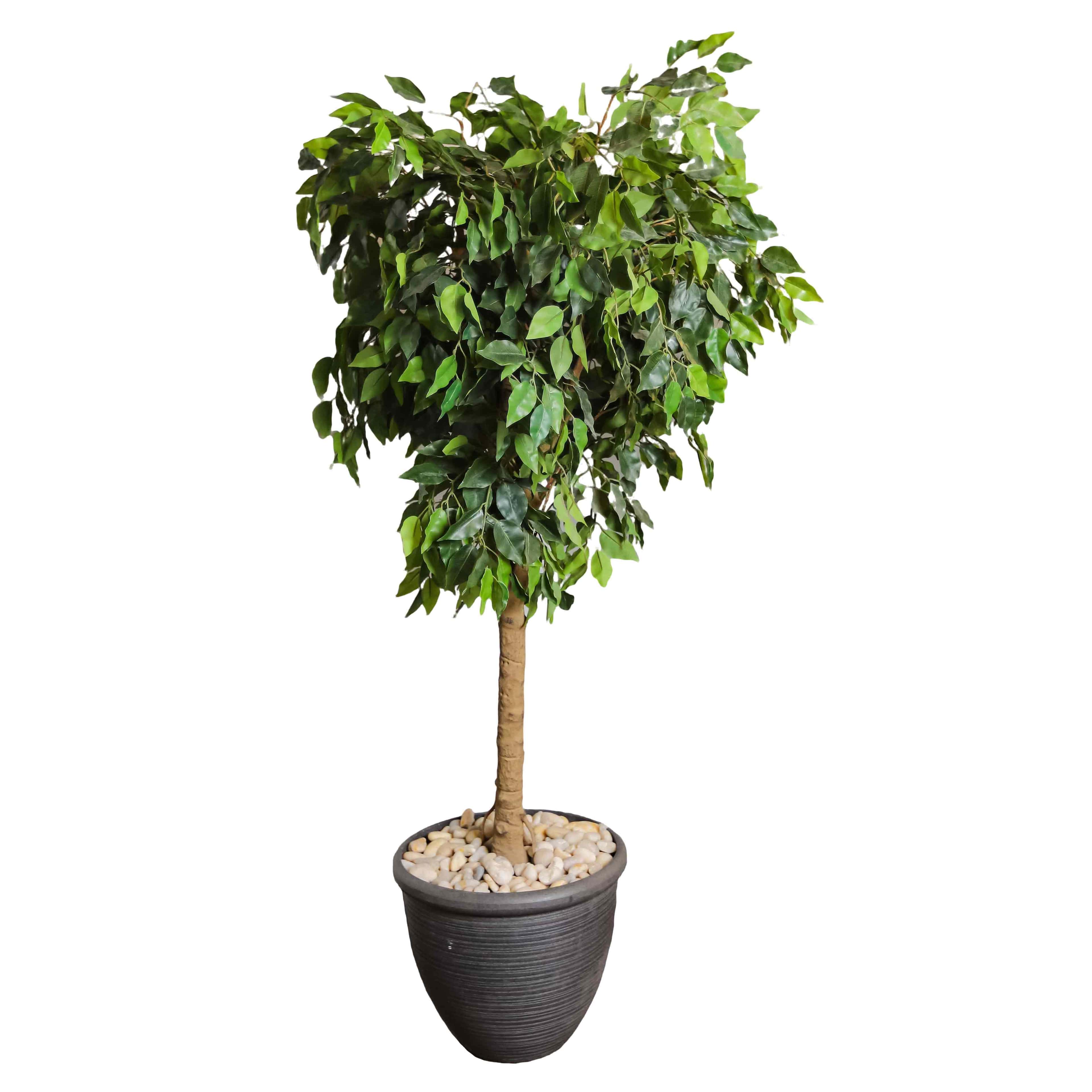 Artificial plant 27