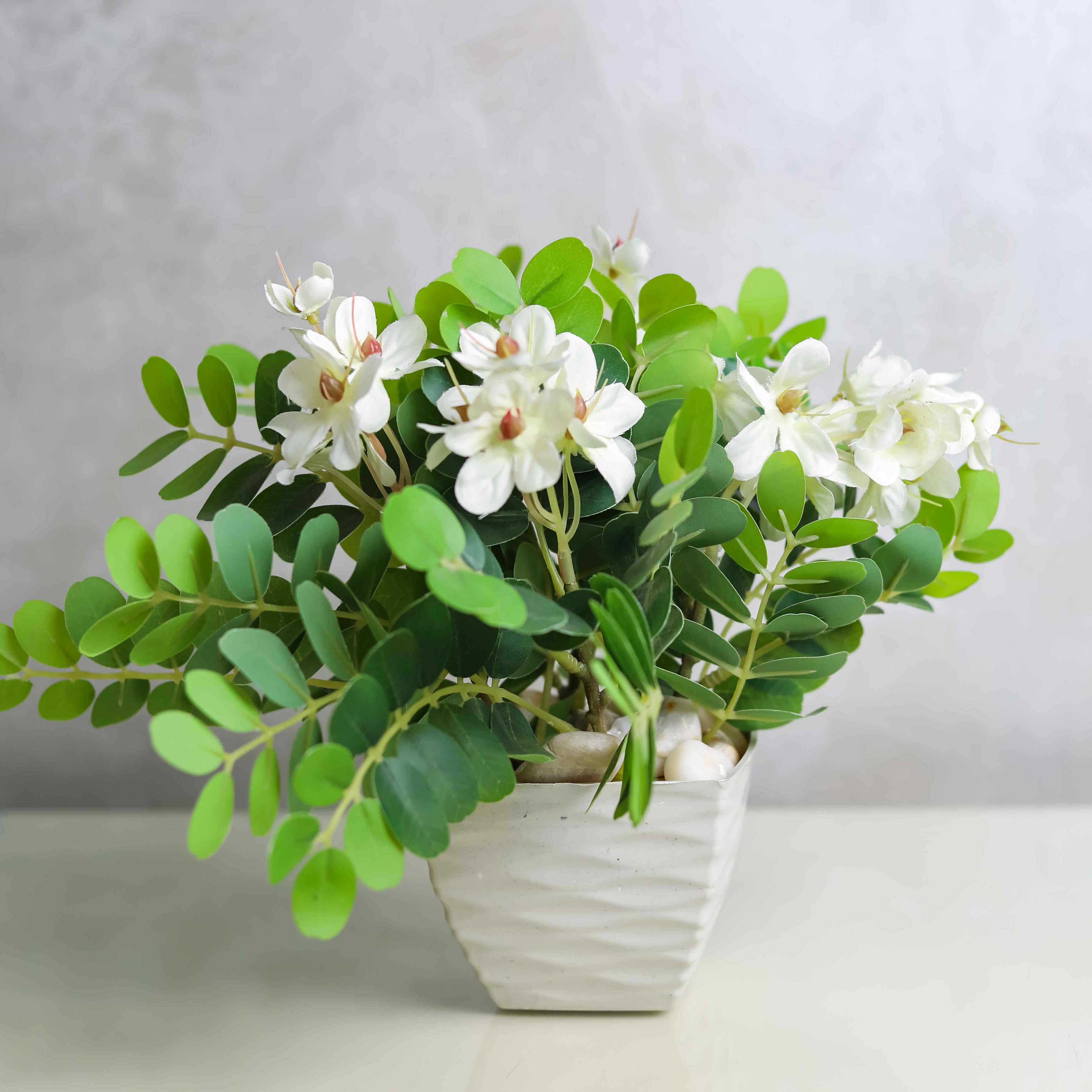 نبتة صناعية 35 2